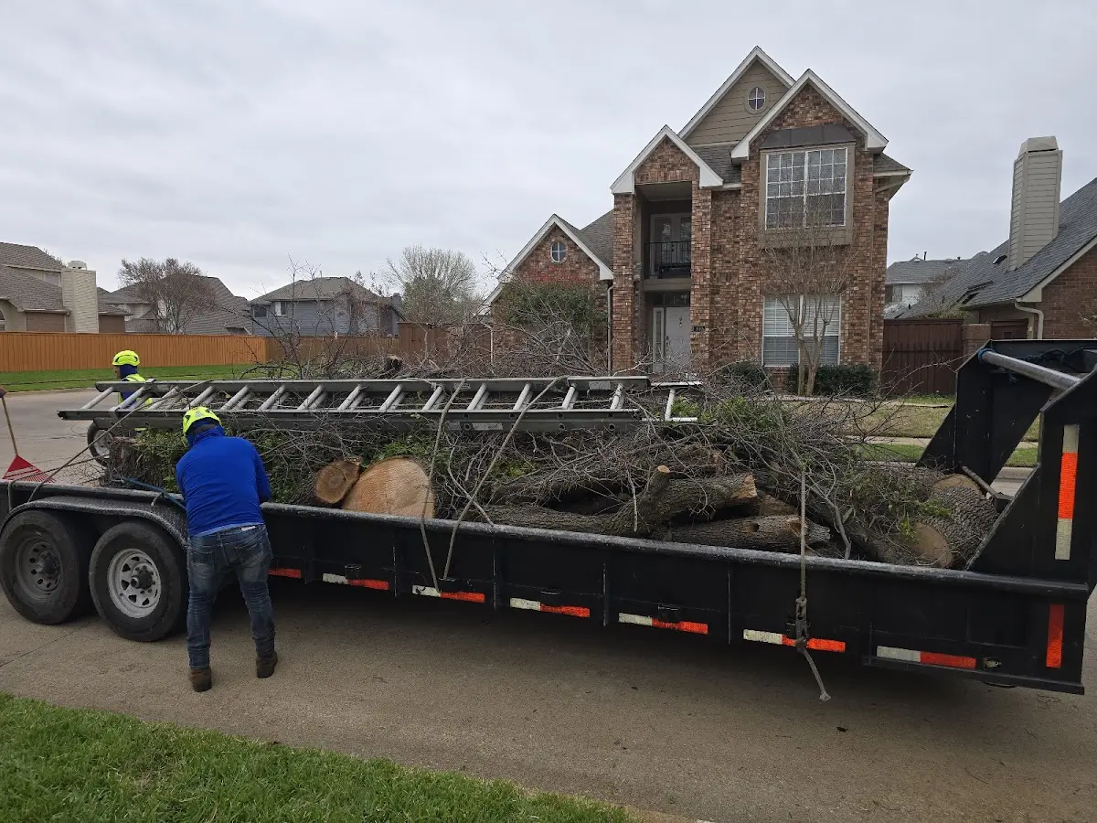 Expert Lot Clearing with proper safety equipment in Datil
